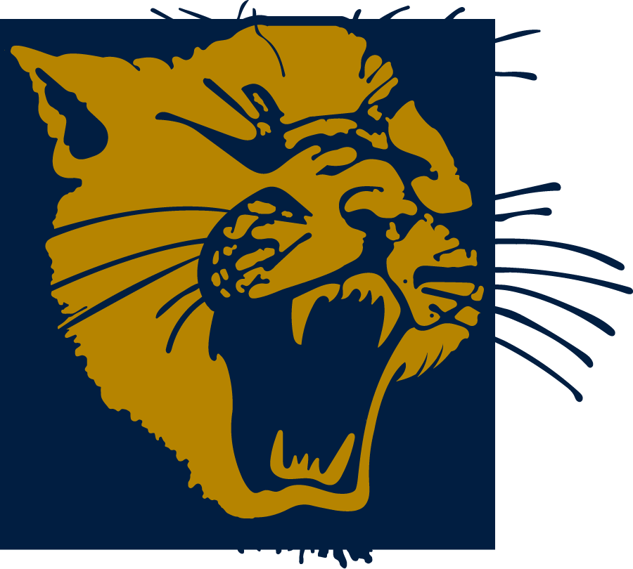 FIU Panthers 1987-1996 Secondary Logo diy iron on heat transfer